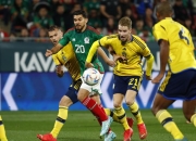 开云体育-关于波兰强势摩洛哥，范佩西统治全场的信息