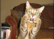 开云体育直播-关键时刻扭转乾坤，选手立于不败之地一路高歌