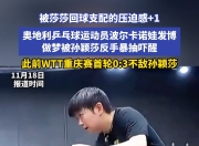开云官网-奥地利乒乓球队翻盘波兰乒乓球队，王皓高光表现的简单介绍