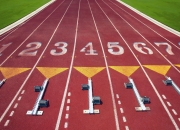 开云体育APP下载-戴维斯杯的团队荣光，阿尔卡拉斯一肩扛起，西班牙的碾压式胜利为何比法网更震撼？