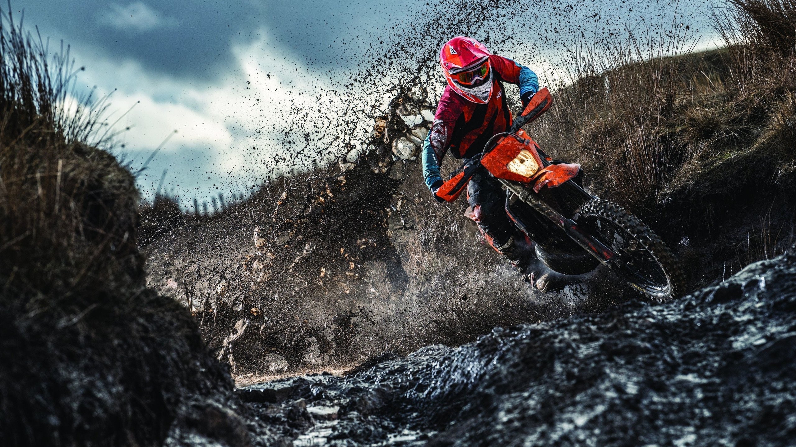 绿茵场与球桌的胜利交响，德国足球横扫波兰，张本智和状态火热点燃赛场